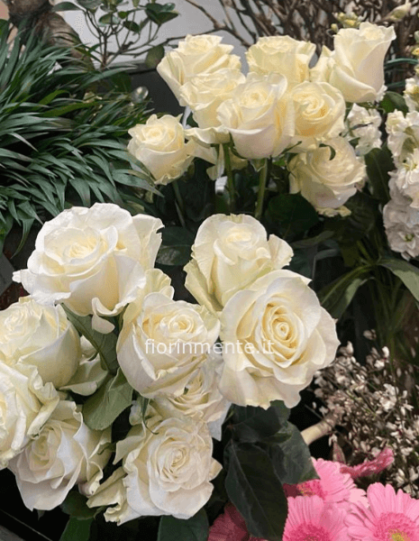 Rose bianche a steli