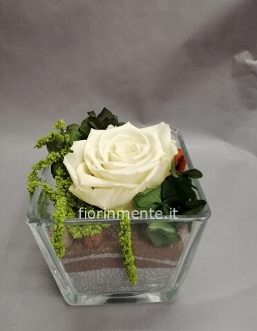 Cubo vetro con rosa stabilizzata