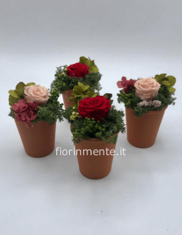 rosa stabilizzata in vasetto coccio