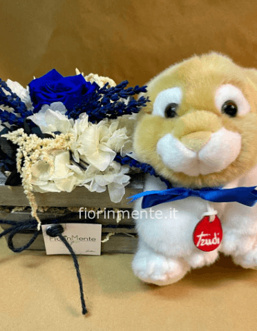 Cassettina rosa STABILIZZATA con peluche trudi