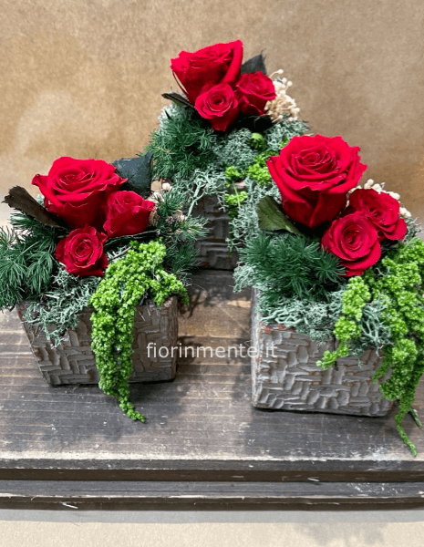 fiori stabilizzati in vasetto  terracotta